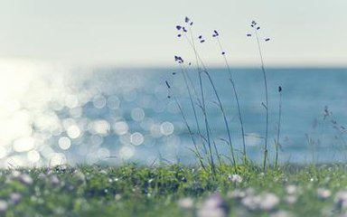 操作蒸汽發(fā)生器的一些注意點(diǎn)